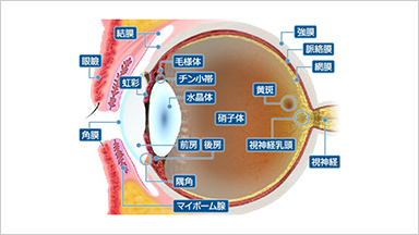 ASTHENOPIA眼精疲労とは