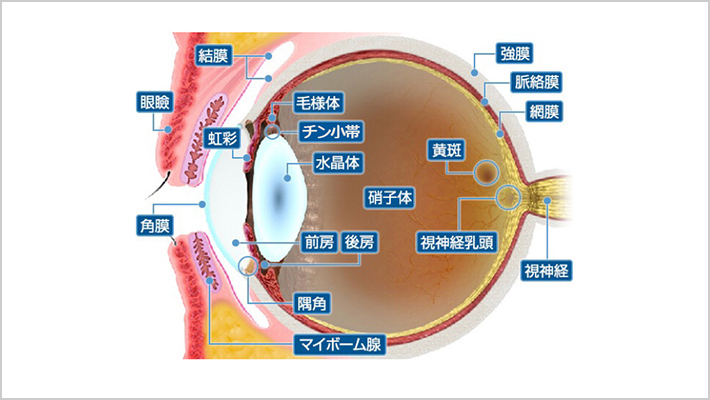 眼精疲労とvdt症候群 江南市 一宮市の眼科診療なら愛岐中央眼科 愛岐眼科