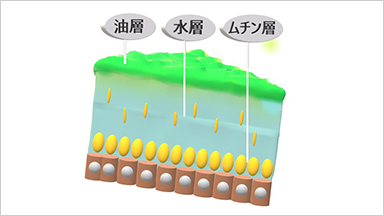 DRY EYEドライアイとは