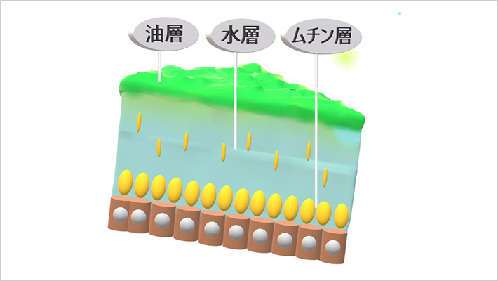 DRY EYEドライアイとは