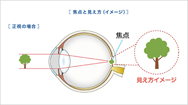 FOCUSピントの仕組み