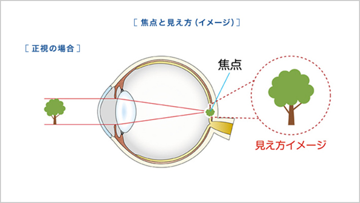 FOCUSピントの仕組み